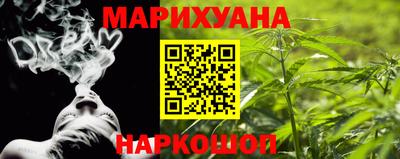 гидра Новозыбков