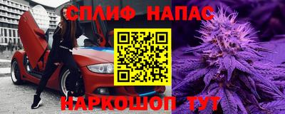 гидра Новозыбков