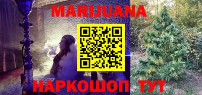 гидра Новозыбков